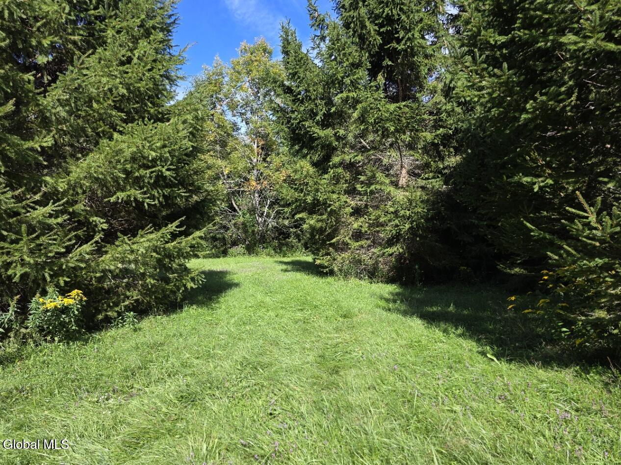 221 Stone Ridge Drive Charlotteville NY 12036
