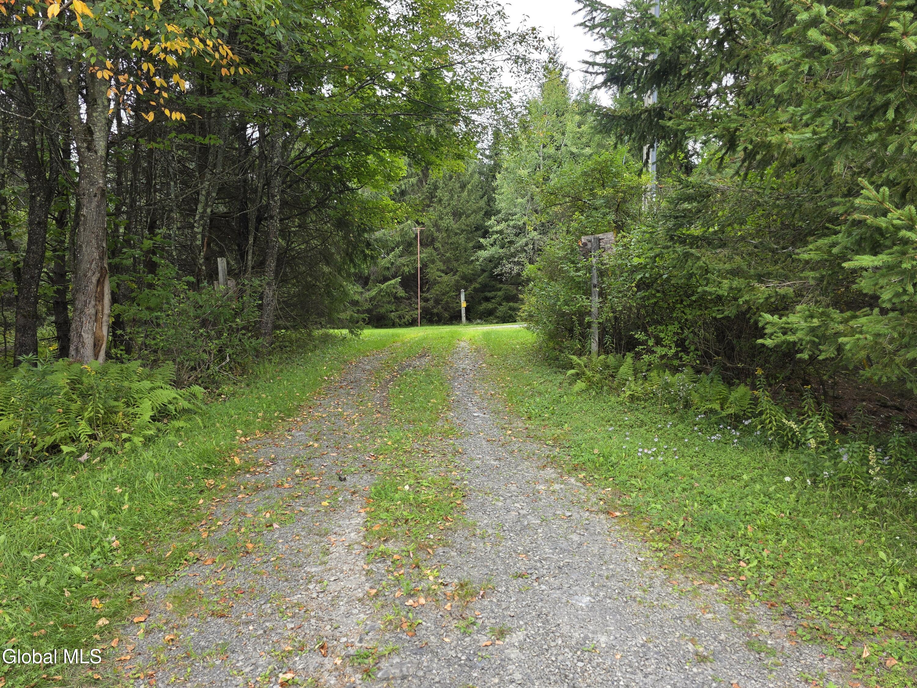 221 Stone Ridge Drive Charlotteville NY 12036