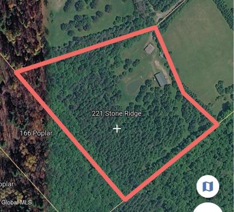 221 Stone Ridge Drive Charlotteville NY 12036