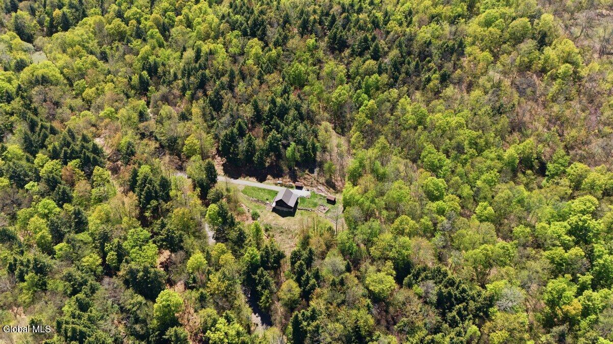212 Backus Lane Putnam Station NY 12861