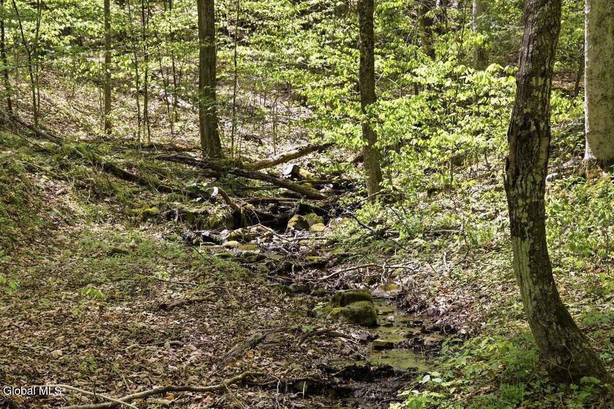 212 Backus Lane Putnam Station NY 12861