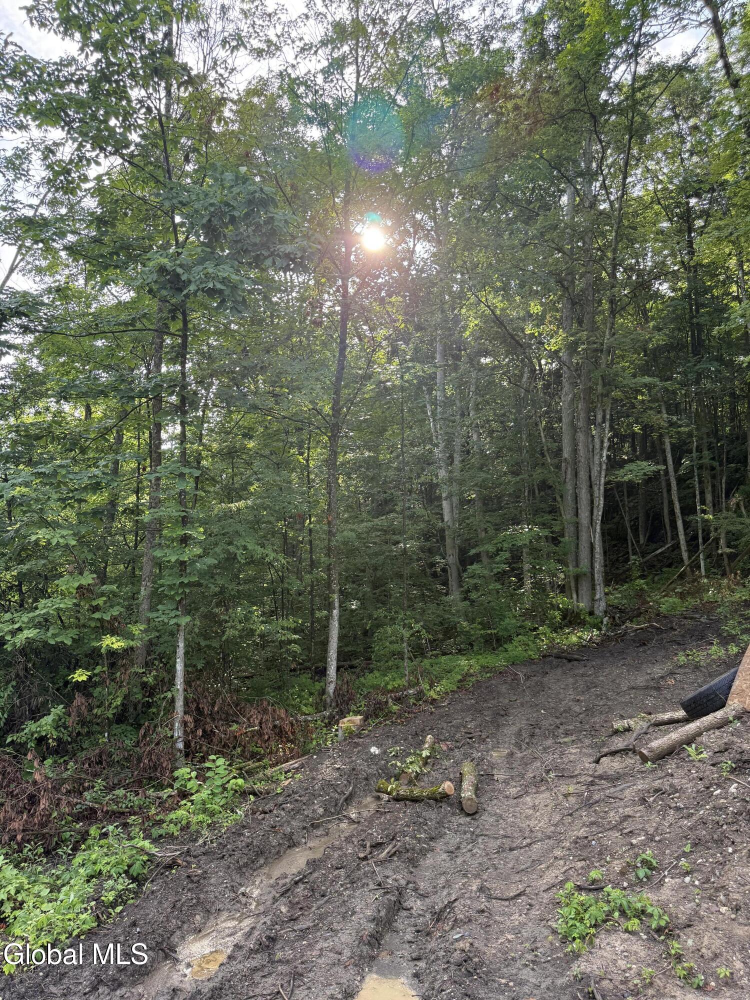 416 Upper Turnpike Road Whitehall NY 12887