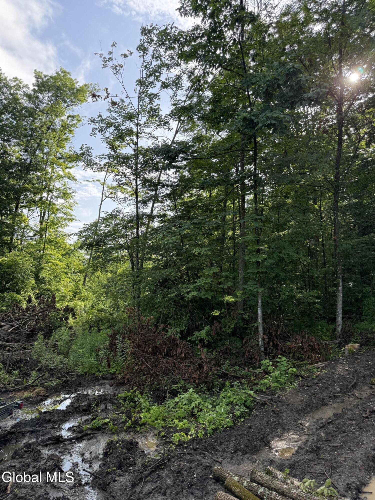 416 Upper Turnpike Road Whitehall NY 12887