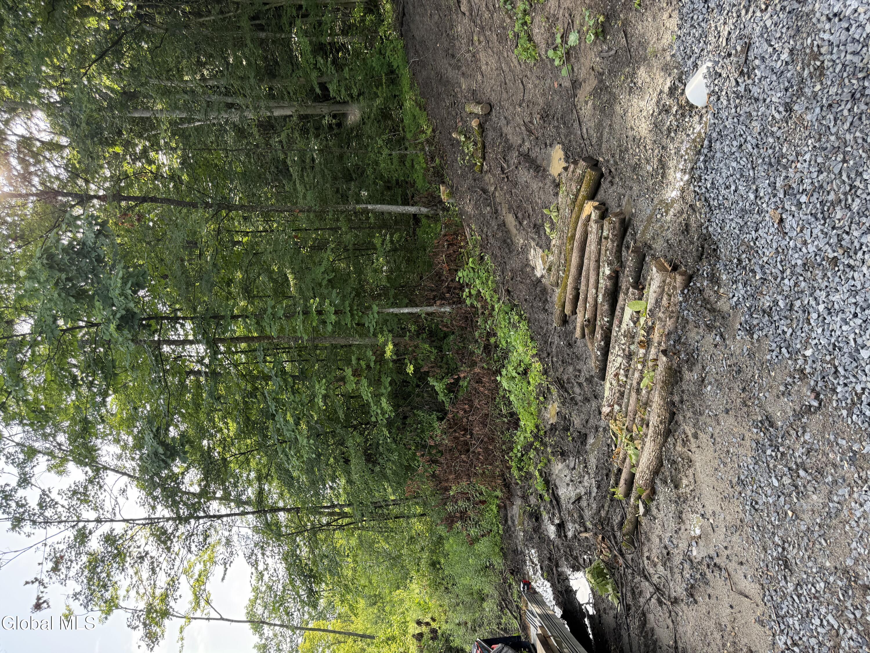 416 Upper Turnpike Road Whitehall NY 12887