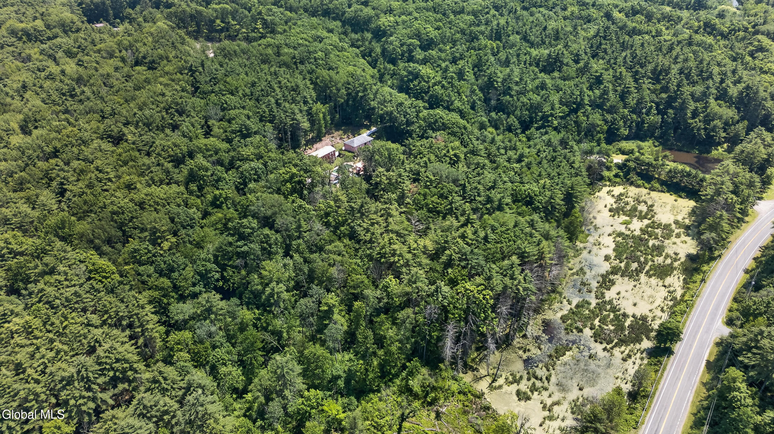 25 Hawthorne Hill Road Brainard NY 12024