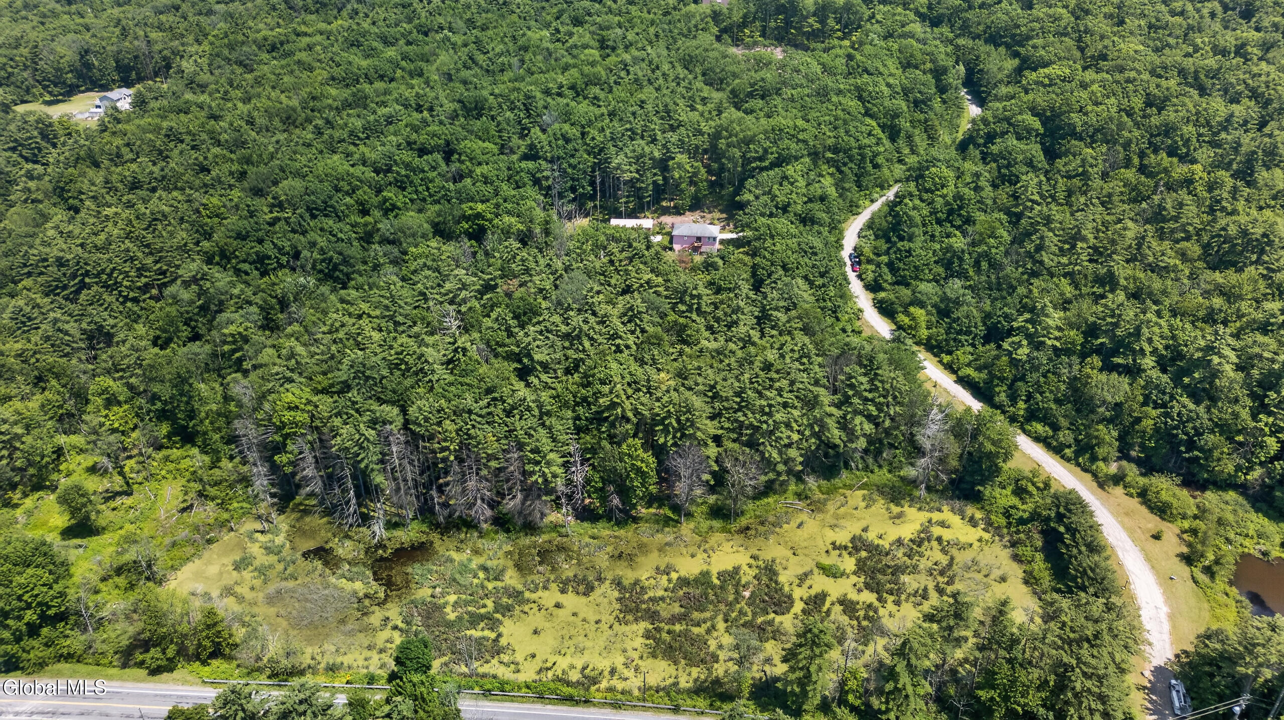 25 Hawthorne Hill Road Brainard NY 12024
