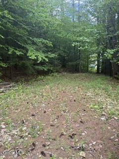 65 Hawk Road Queensbury NY 12846