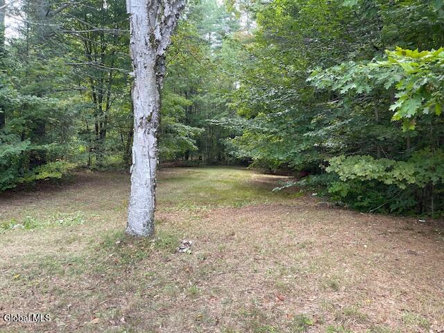 1357 Us 9 Schroon Lake NY 12870