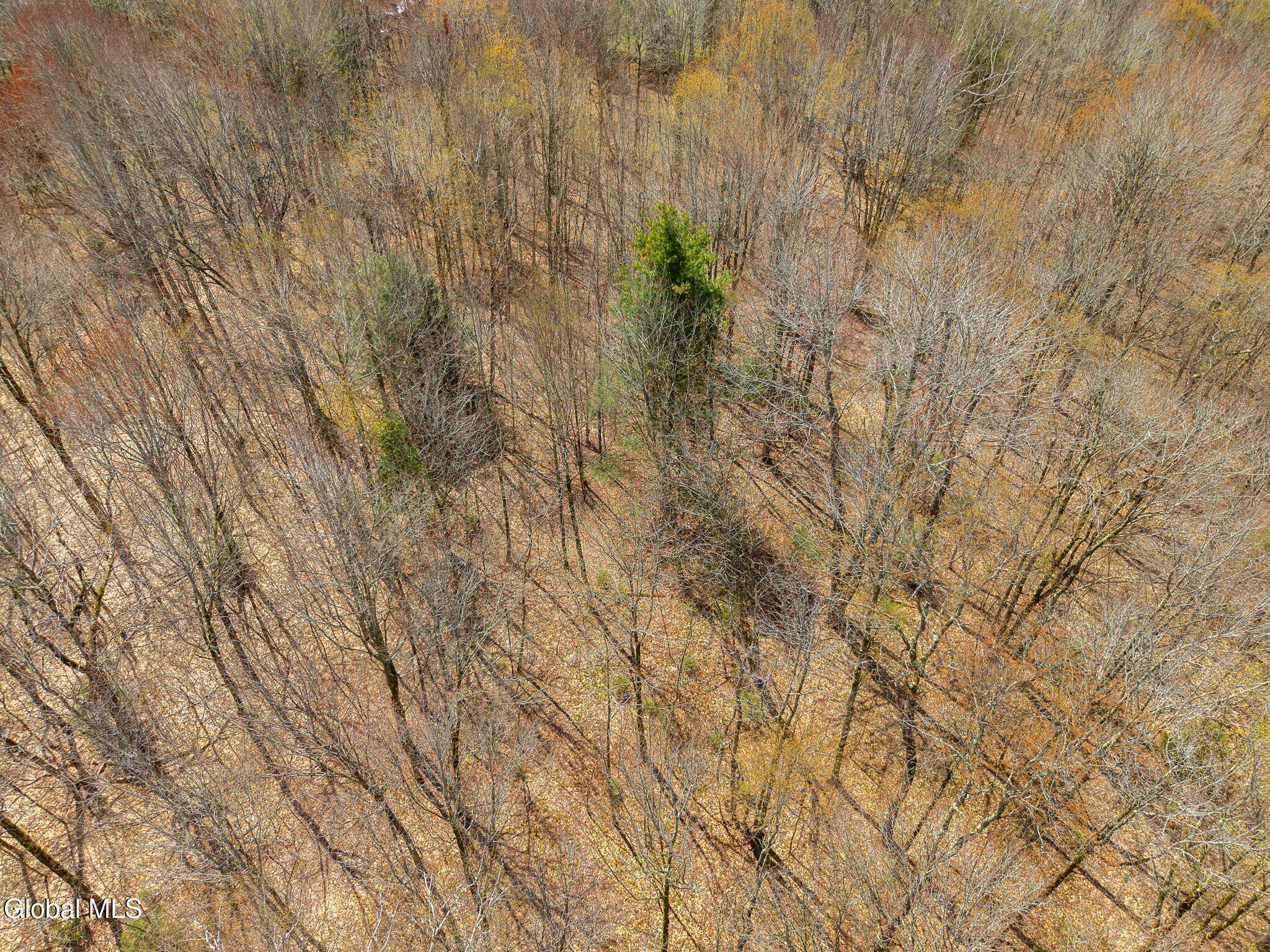545 Meade Road Jefferson NY 12093