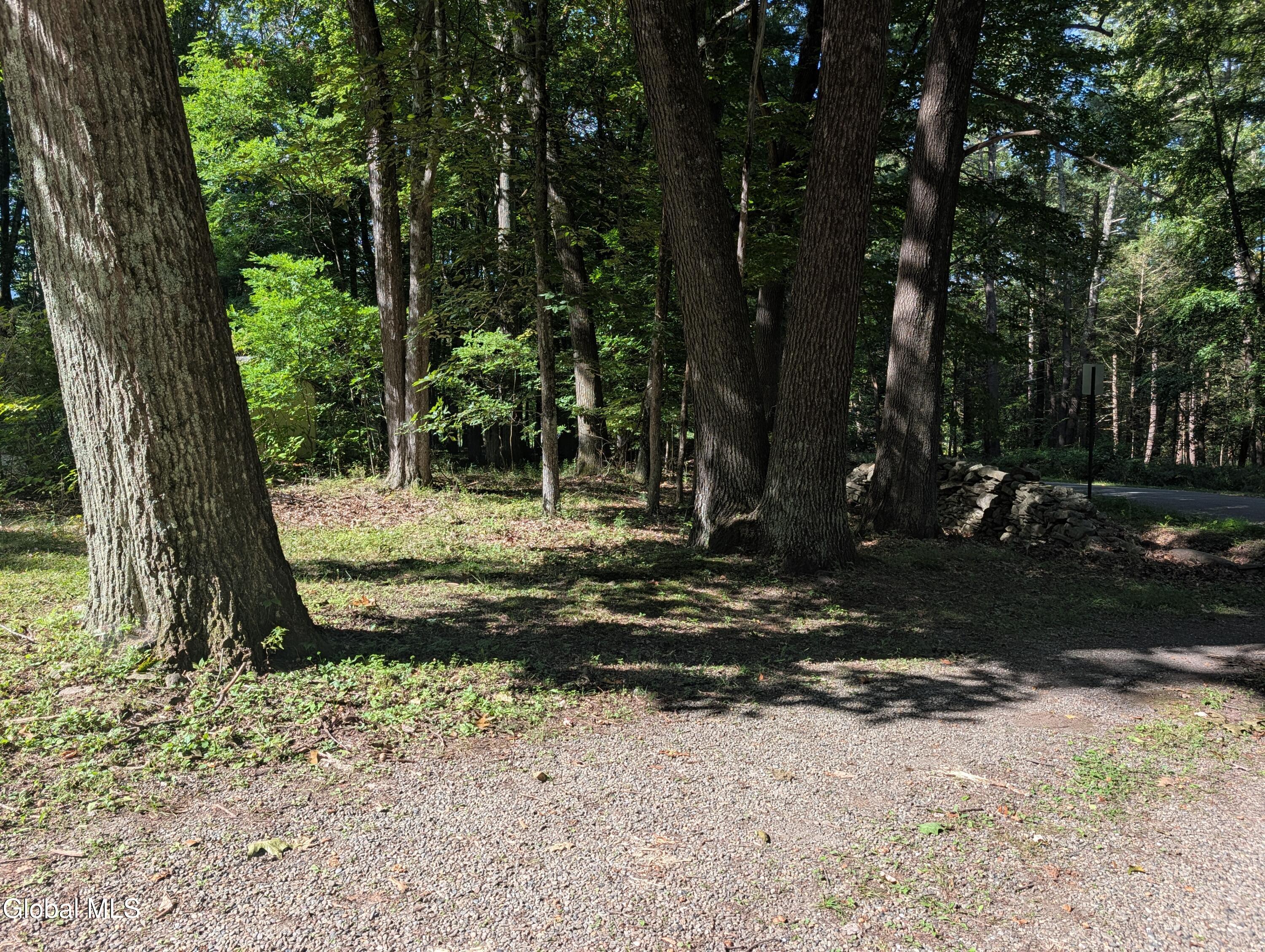 40 Huntington Drive Freehold NY 12431