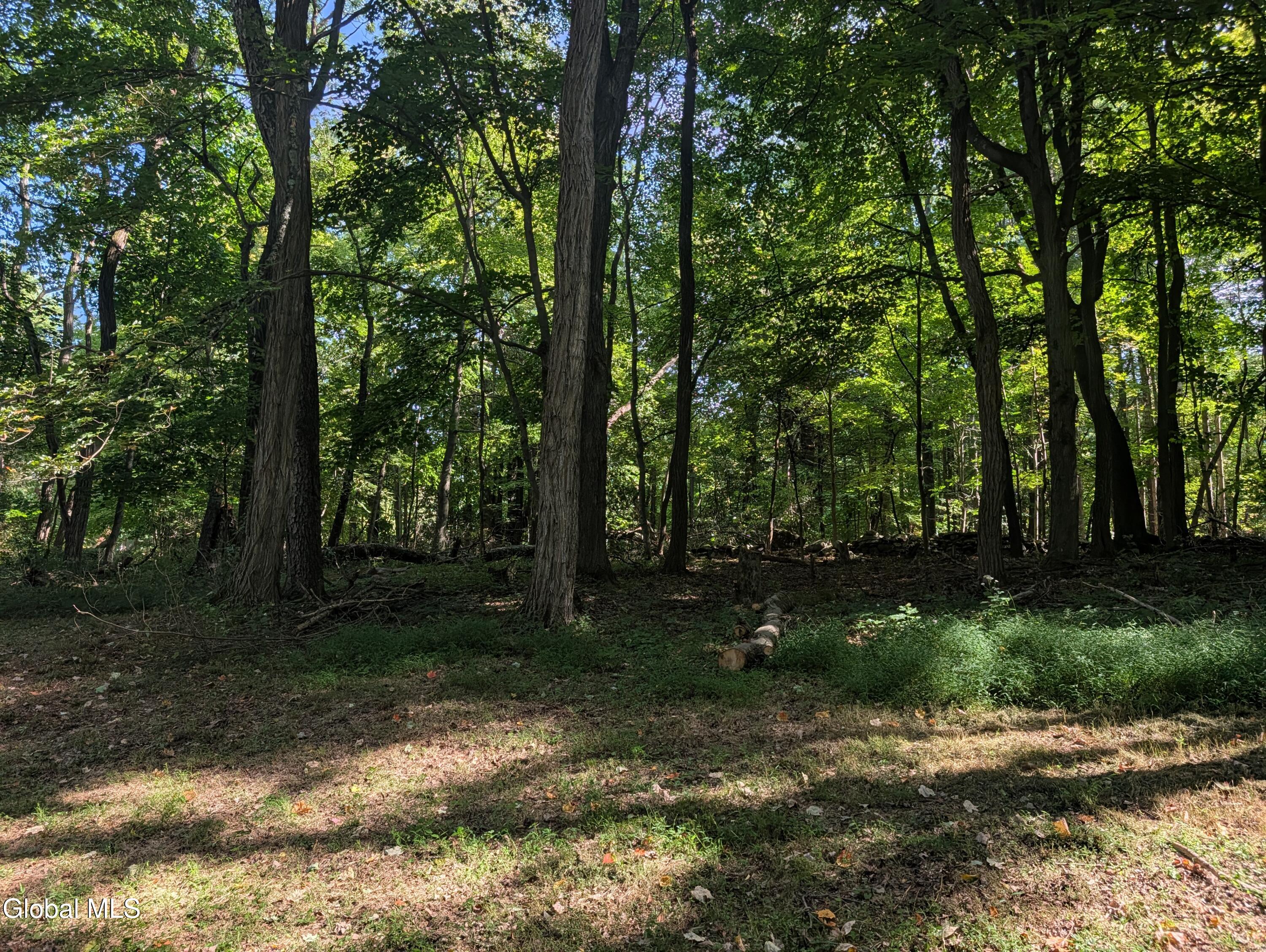 40 Huntington Drive Freehold NY 12431