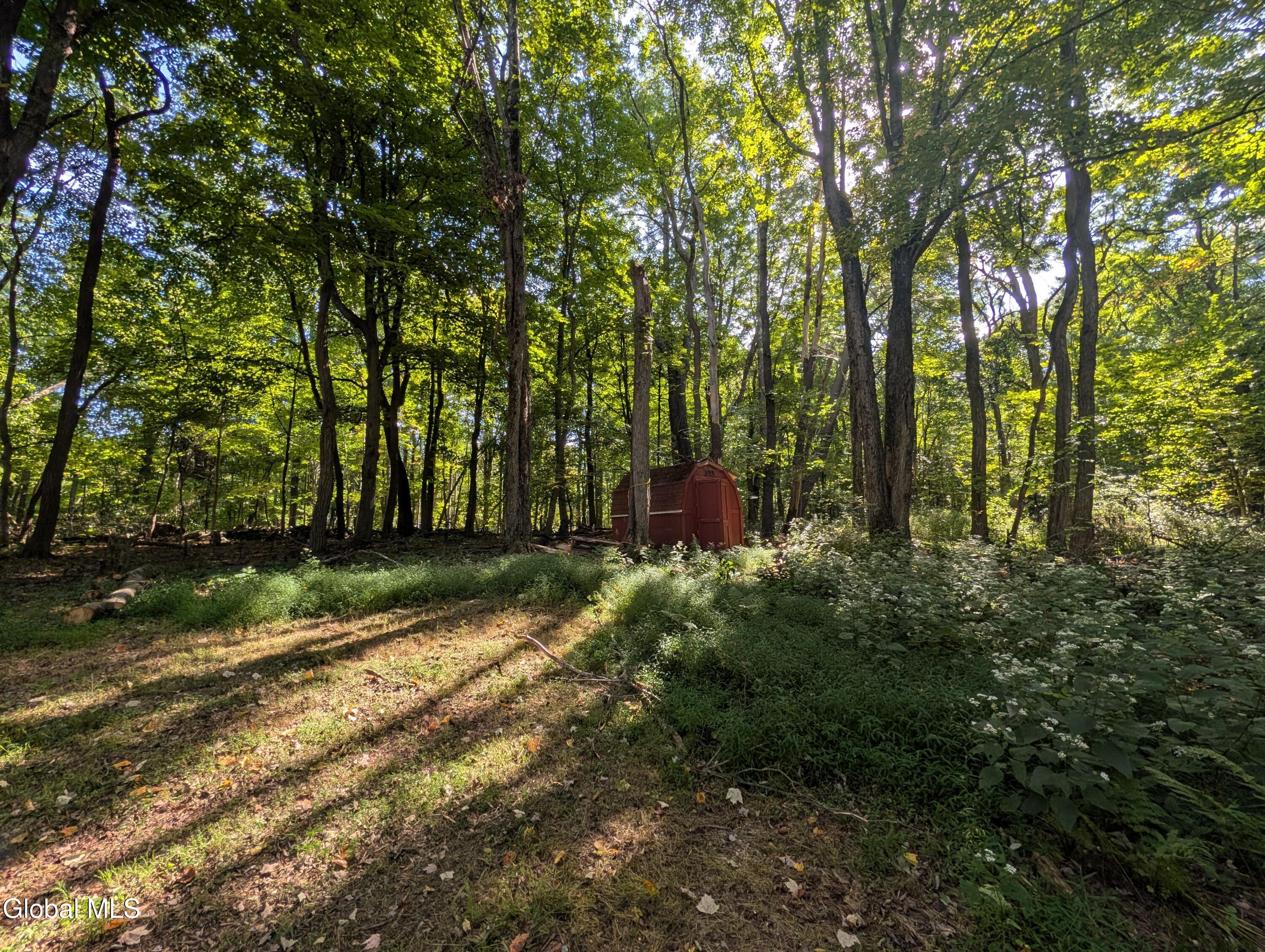 40 Huntington Drive Freehold NY 12431