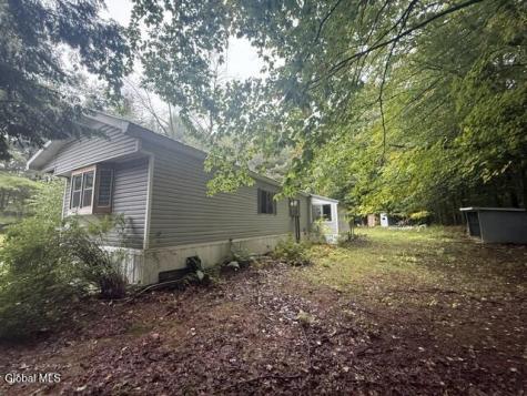 24 Spruce Mountain Road Porter Corners NY 12859