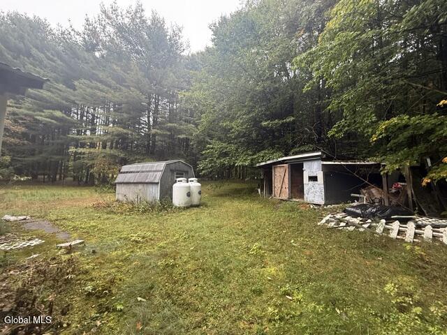 24 Spruce Mountain Road Porter Corners NY 12859