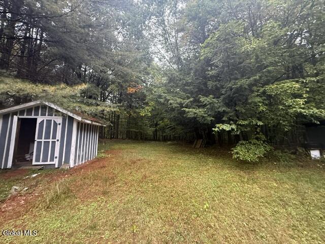 24 Spruce Mountain Road Porter Corners NY 12859