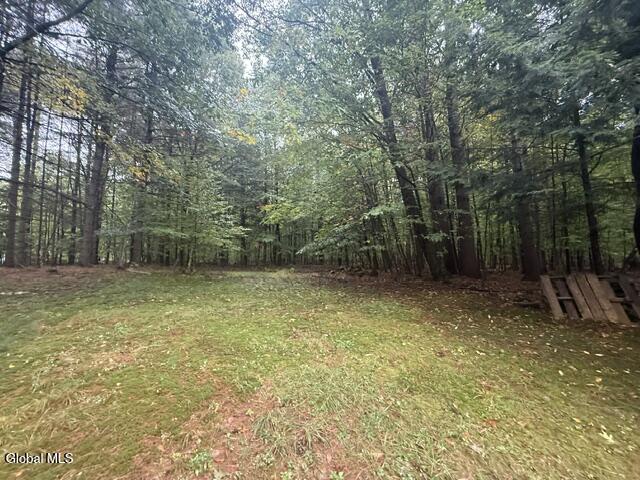 24 Spruce Mountain Road Porter Corners NY 12859