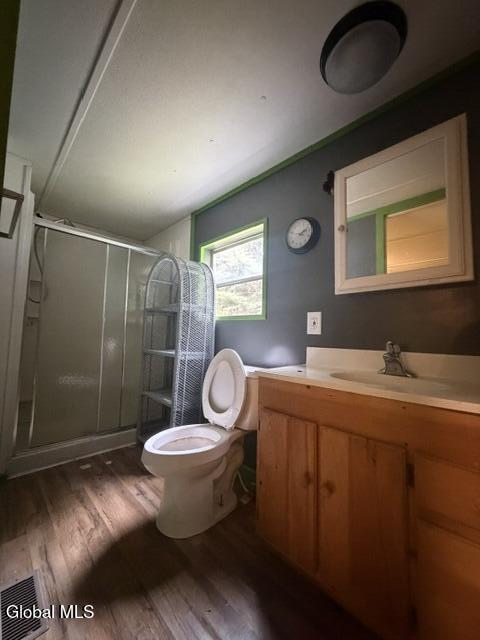 24 Spruce Mountain Road Porter Corners NY 12859
