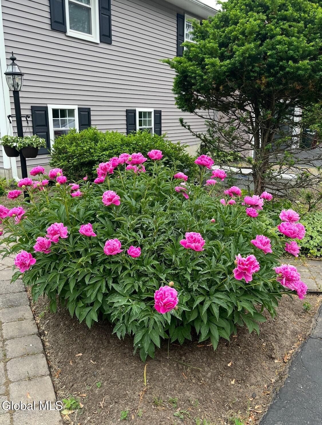 11 Gregory Lane Loudonville NY 12211
