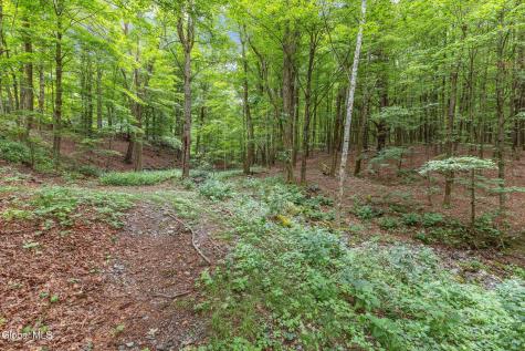 154 Phillips Road Petersburgh NY 12138