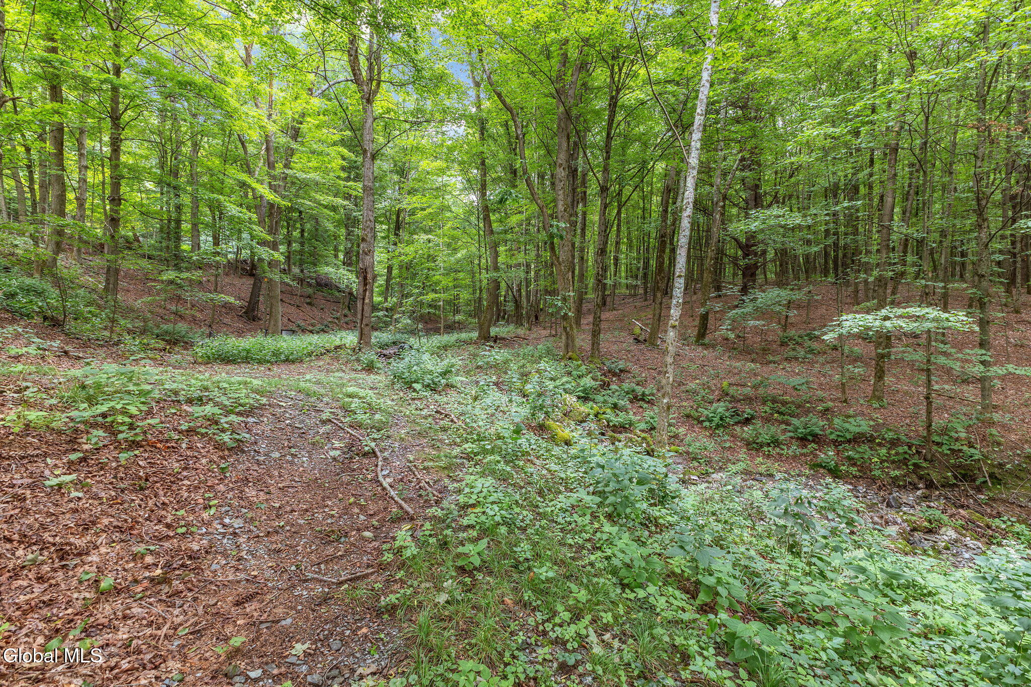 154 Phillips Road Petersburgh NY 12138