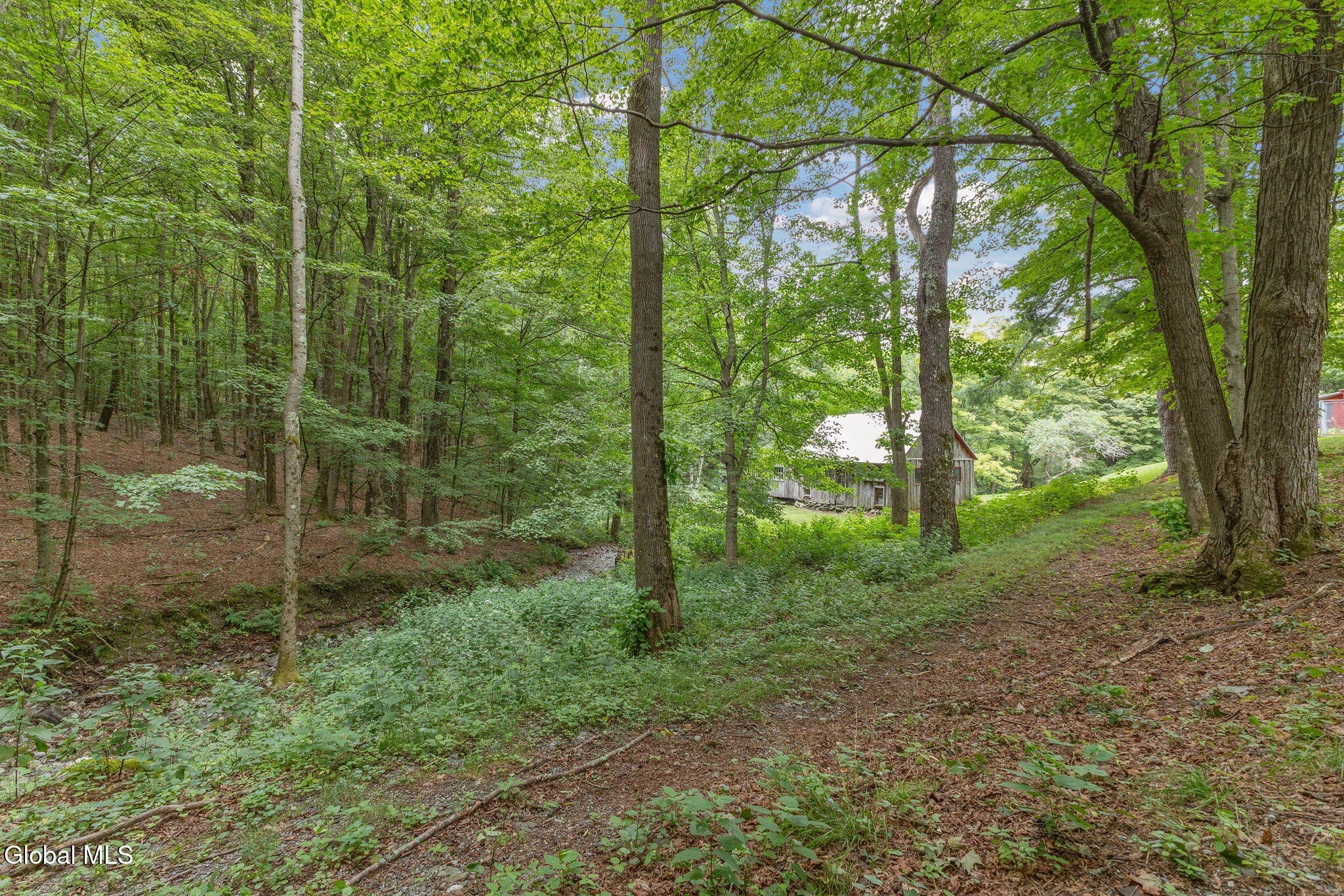 154 Phillips Road Petersburgh NY 12138