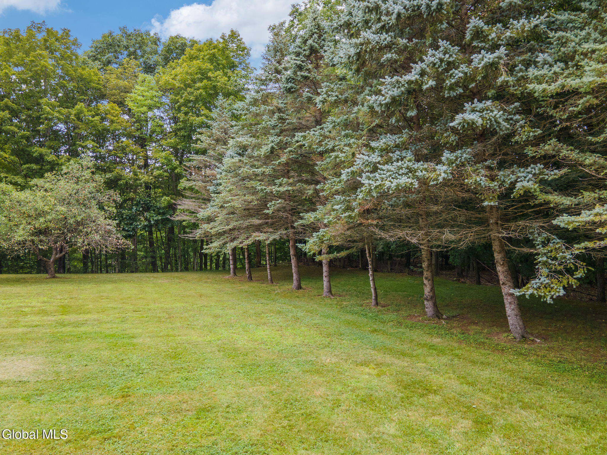 154 Phillips Road Petersburgh NY 12138