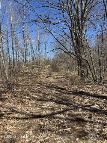 230 S Road Averill Park NY 12018