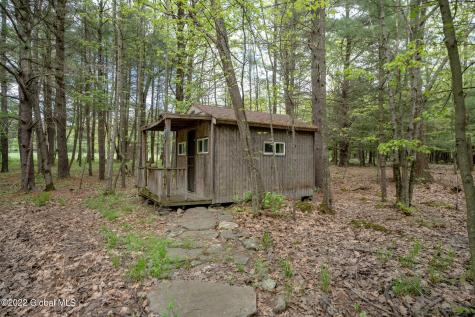8 Robin Ann Lane Westerlo NY 12193