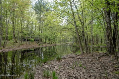 8 Robin Ann Lane Westerlo NY 12193