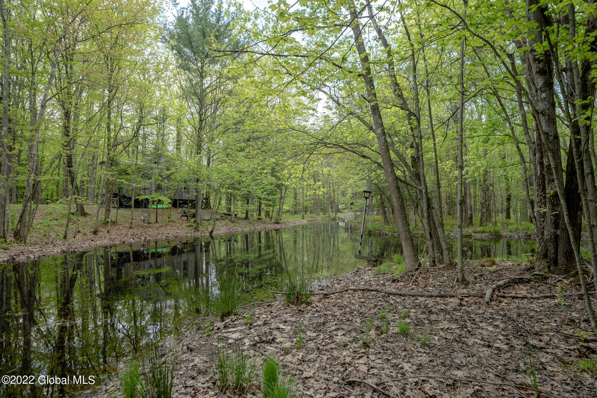 8 Robin Ann Lane Westerlo NY 12193