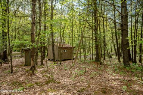 8 Robin Ann Lane Westerlo NY 12193