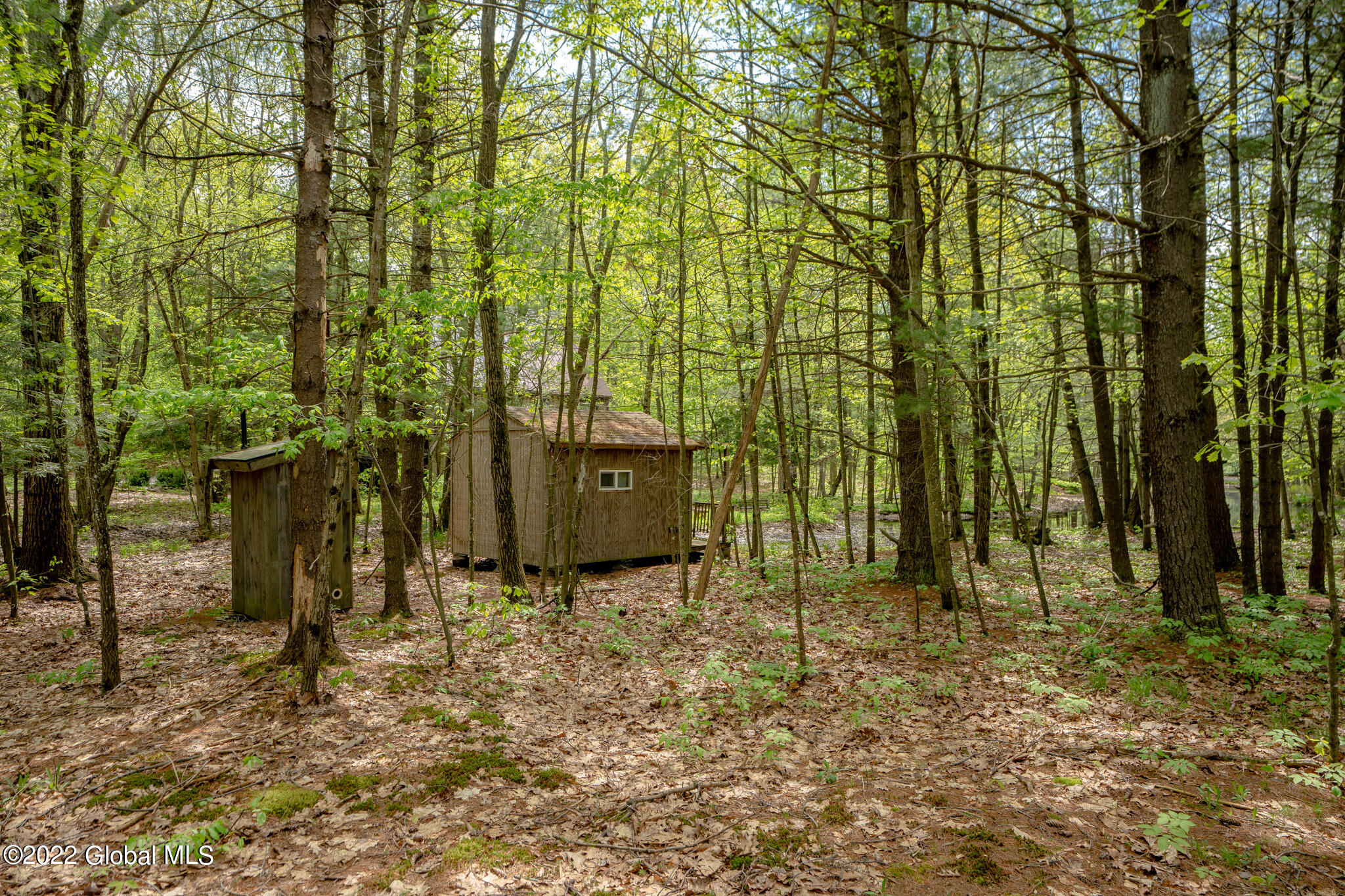 8 Robin Ann Lane Westerlo NY 12193