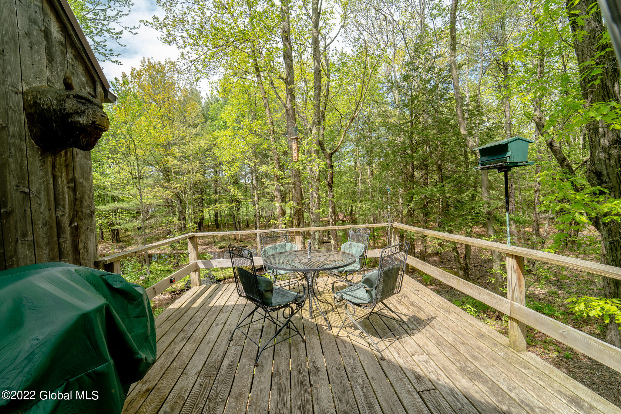 8 Robin Ann Lane Westerlo NY 12193