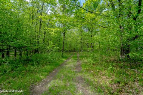 8 Robin Ann Lane Westerlo NY 12193