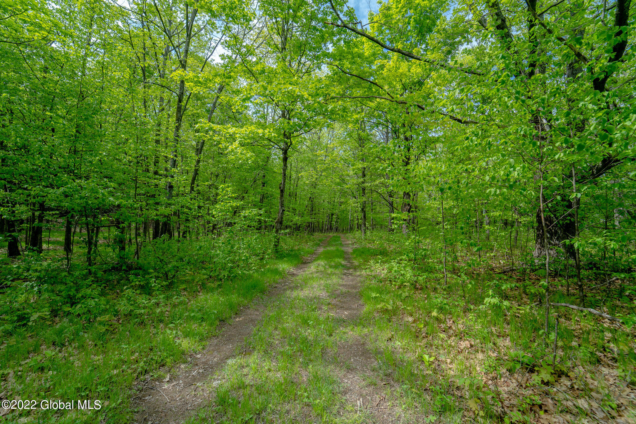 8 Robin Ann Lane Westerlo NY 12193