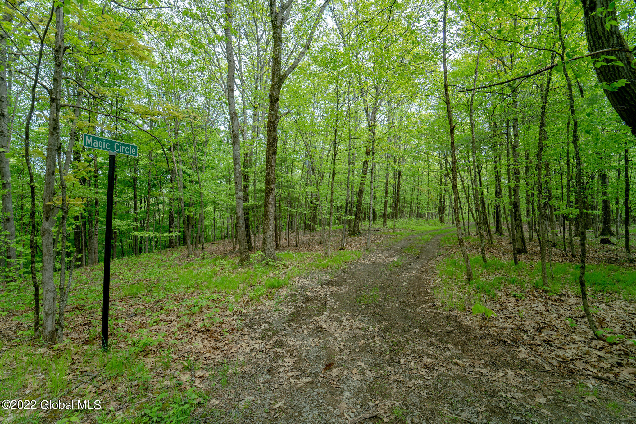 8 Robin Ann Lane Westerlo NY 12193