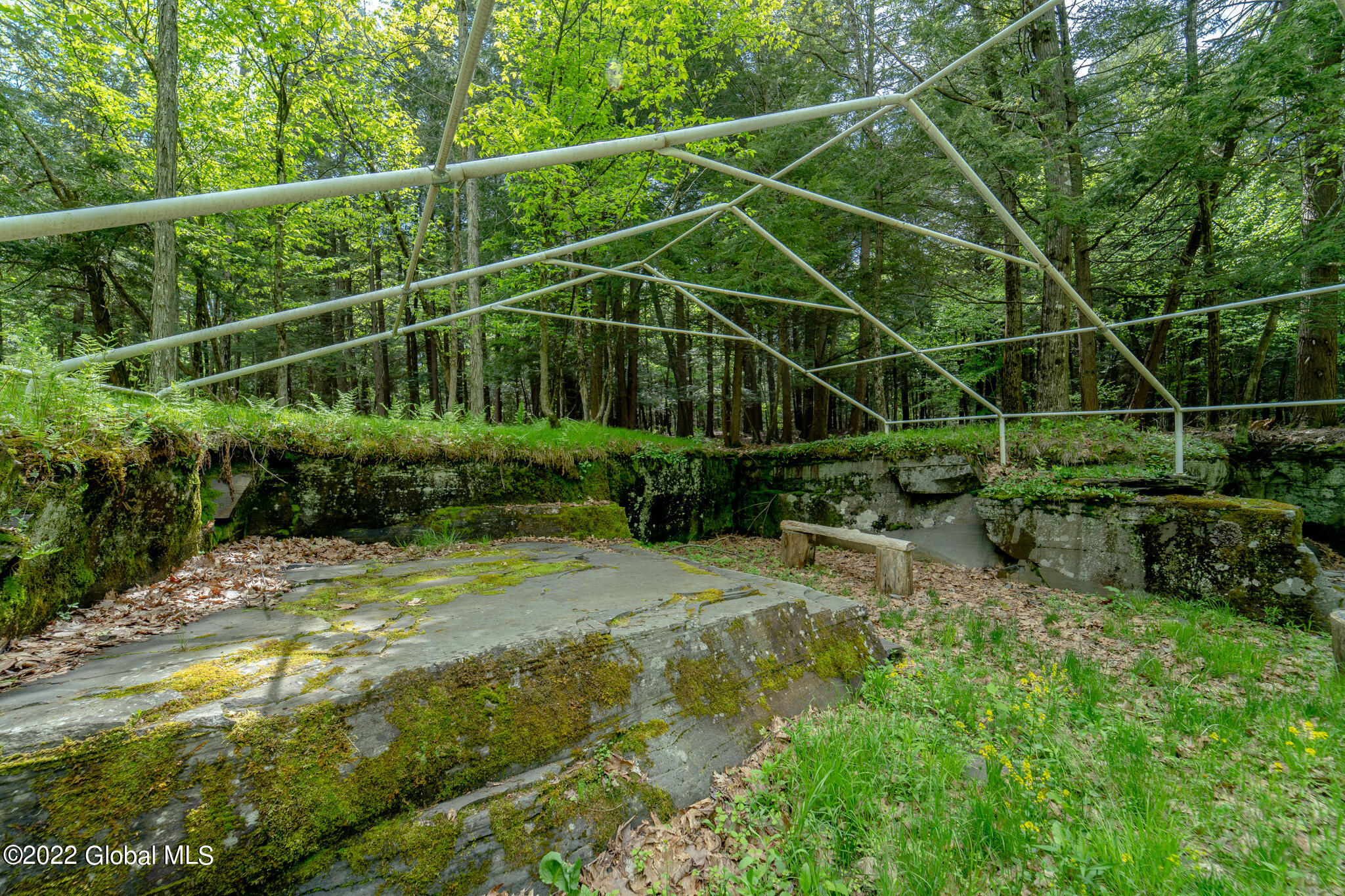 8 Robin Ann Lane Westerlo NY 12193