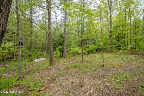 8 Robin Ann Lane Westerlo NY 12193