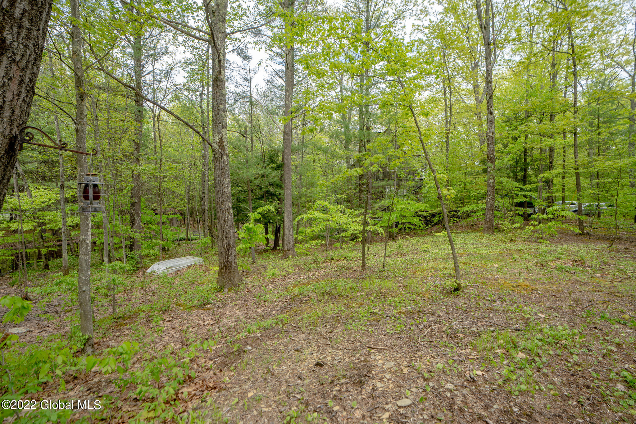 8 Robin Ann Lane Westerlo NY 12193