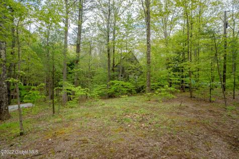 8 Robin Ann Lane Westerlo NY 12193