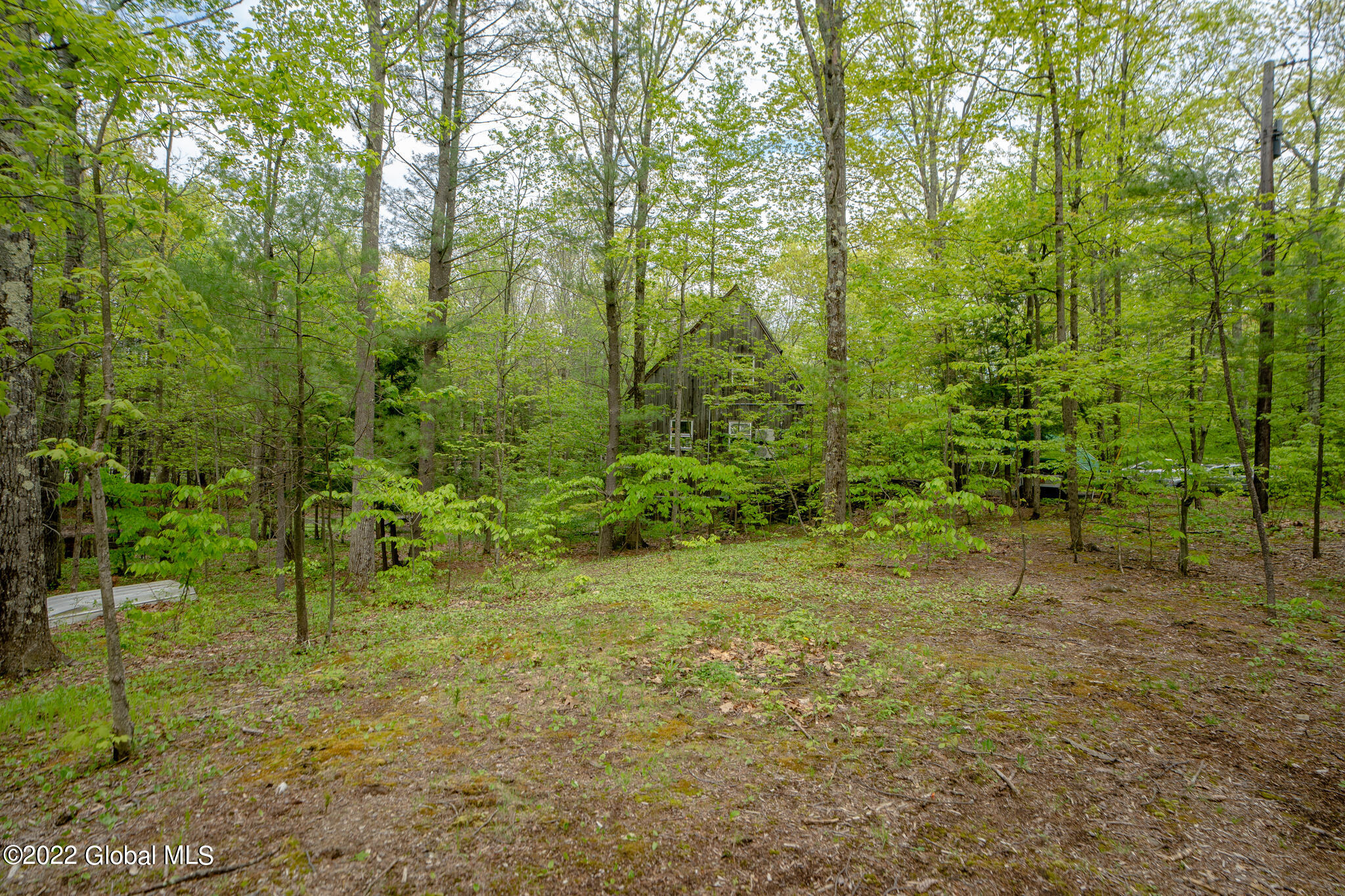 8 Robin Ann Lane Westerlo NY 12193