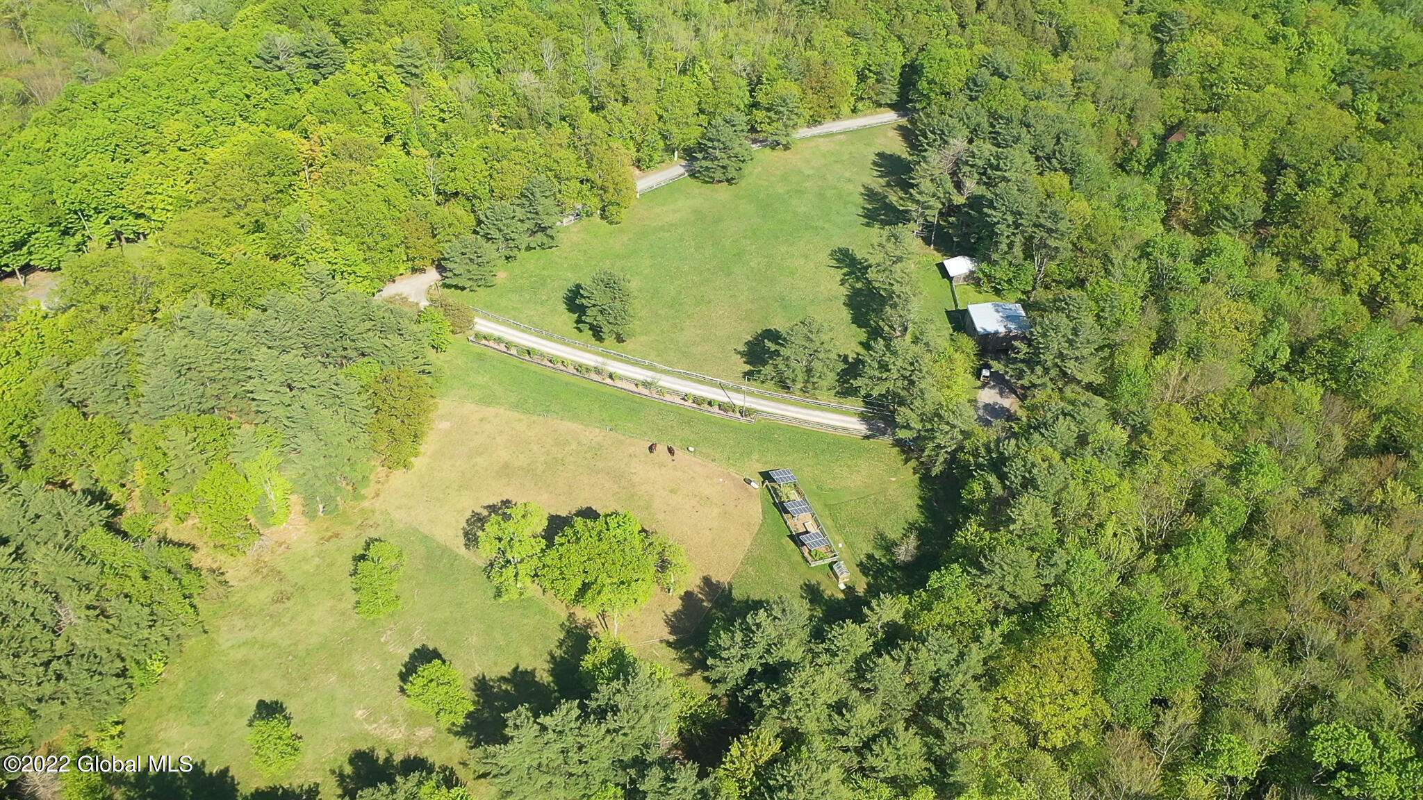 8 Robin Ann Lane Westerlo NY 12193