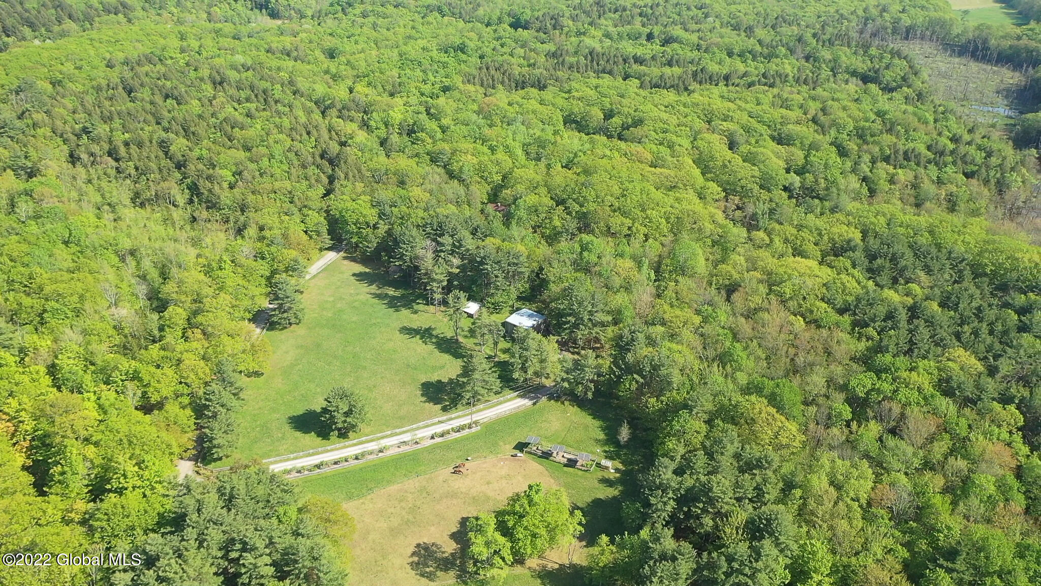 8 Robin Ann Lane Westerlo NY 12193