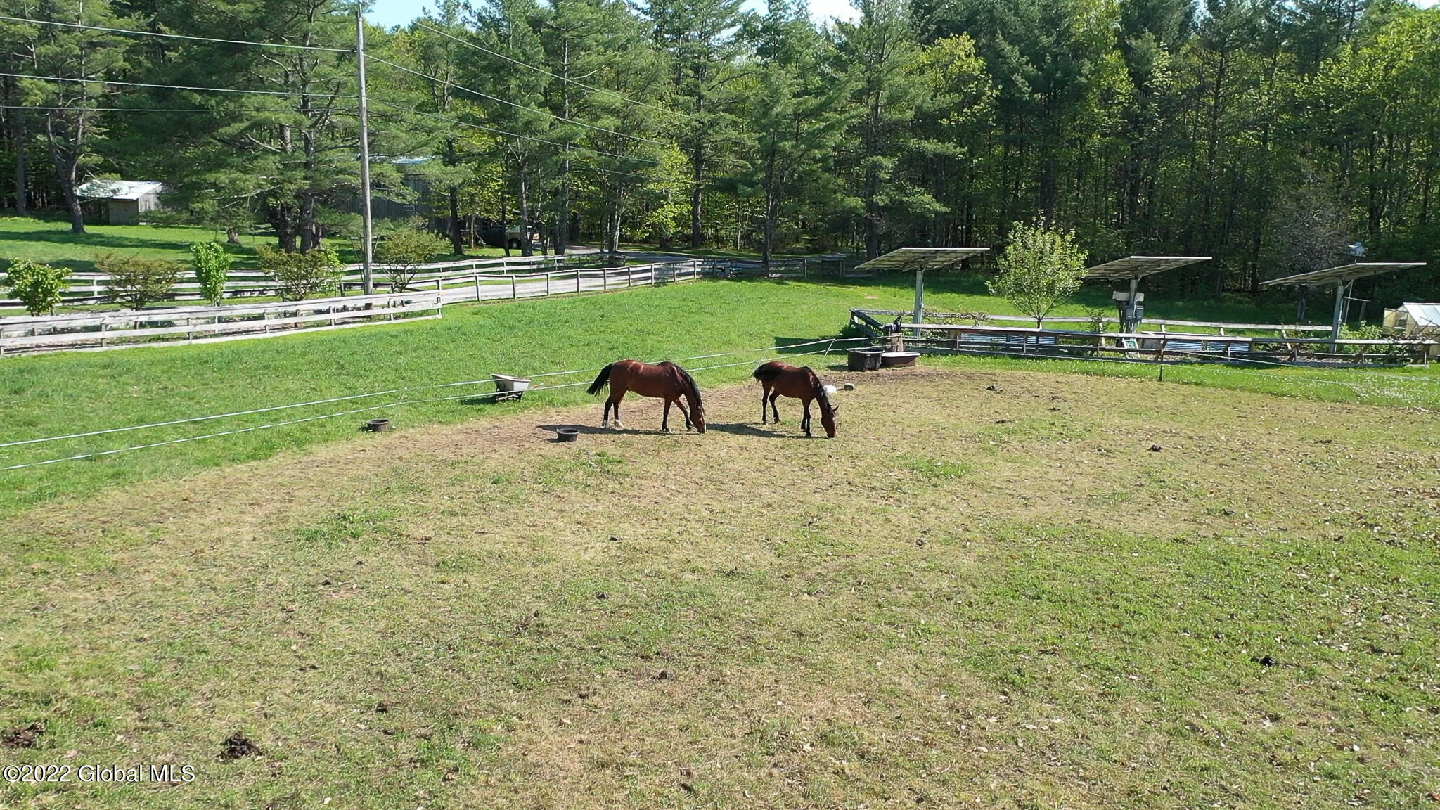 8 Robin Ann Lane Westerlo NY 12193