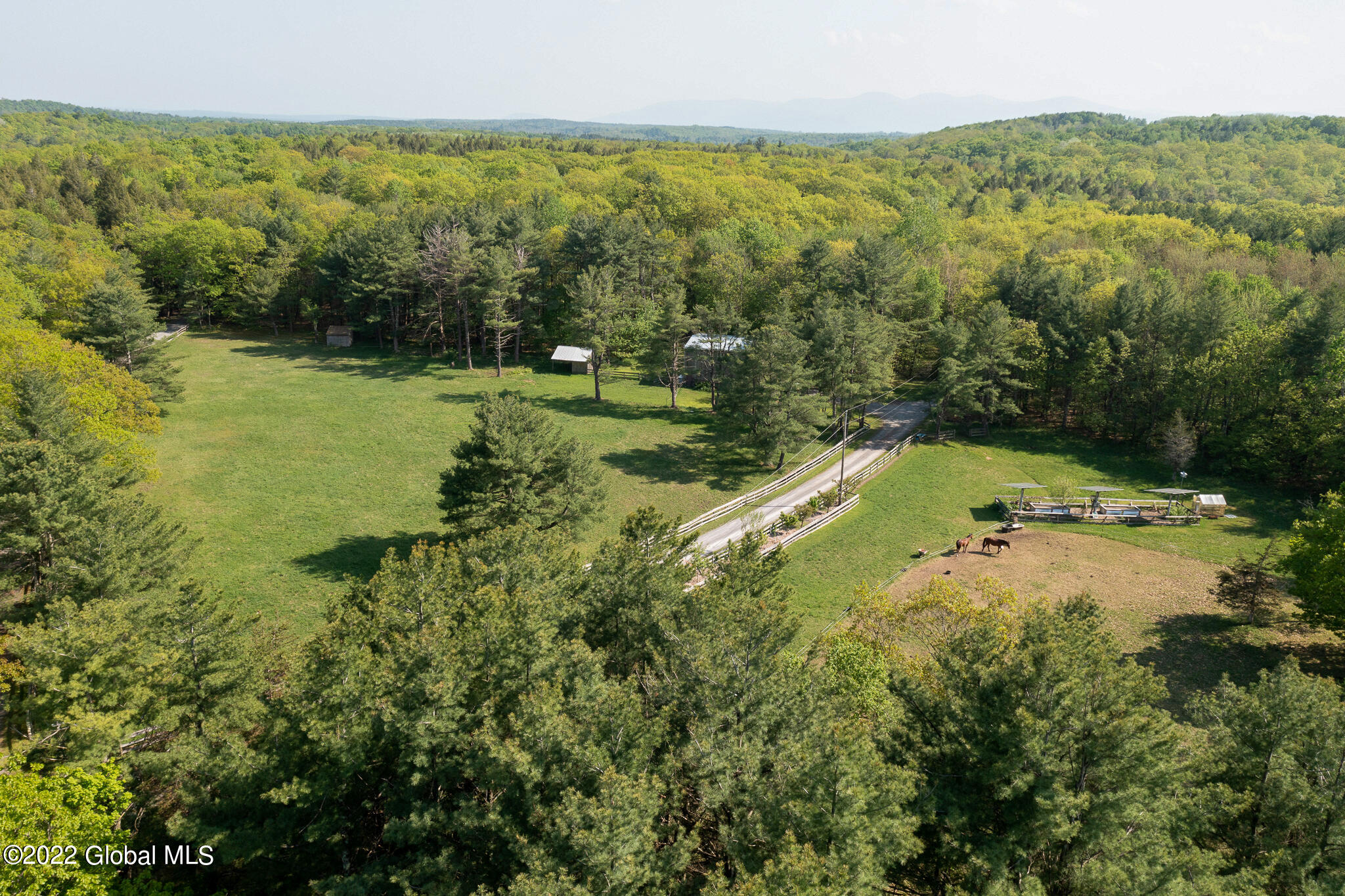 8 Robin Ann Lane Westerlo NY 12193