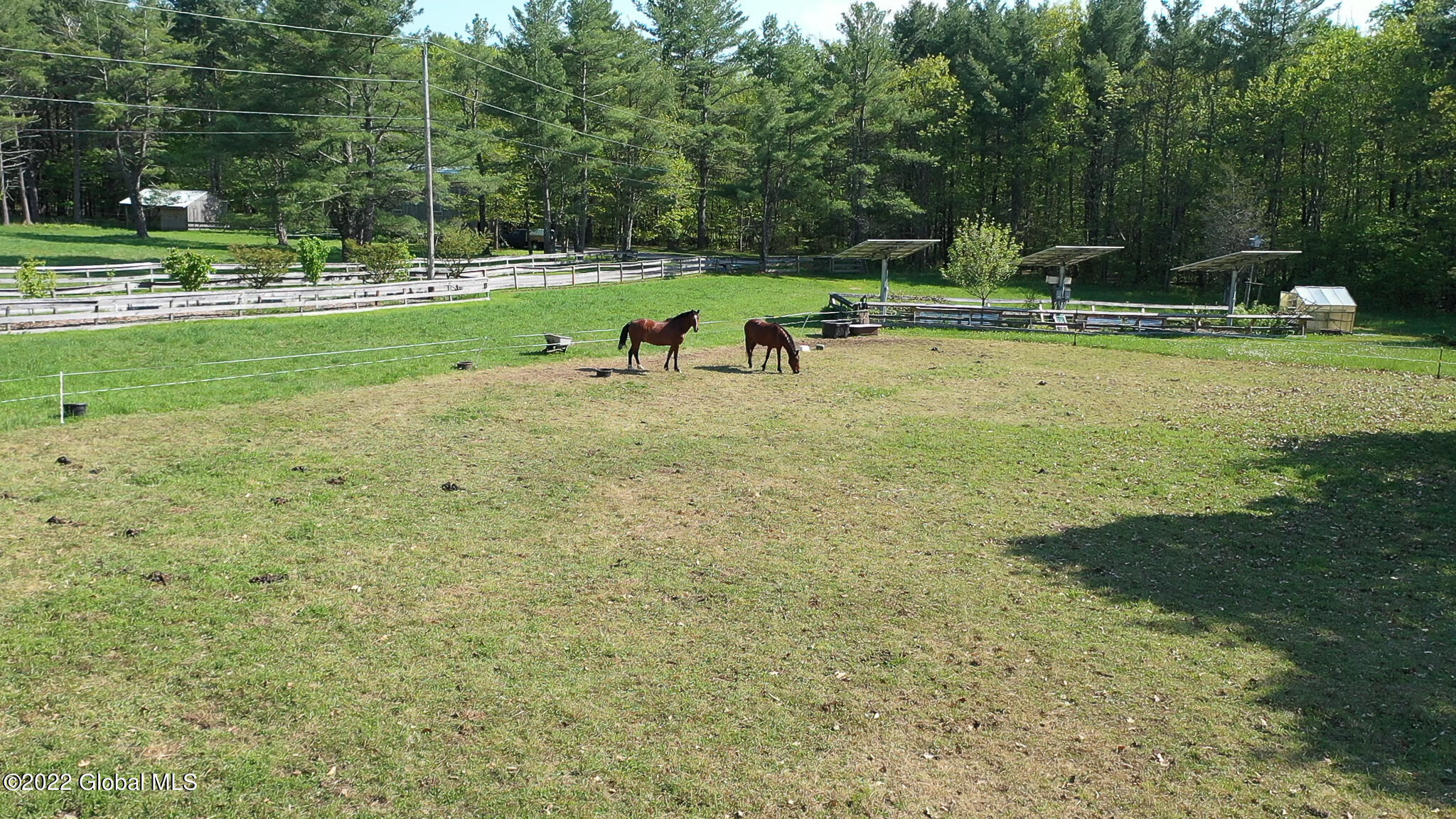 8 Robin Ann Lane Westerlo NY 12193