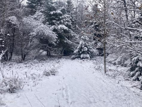 856 Olmstedville Road Chestertown NY 12853