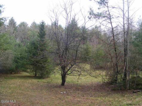 856 Olmstedville Road Chestertown NY 12853