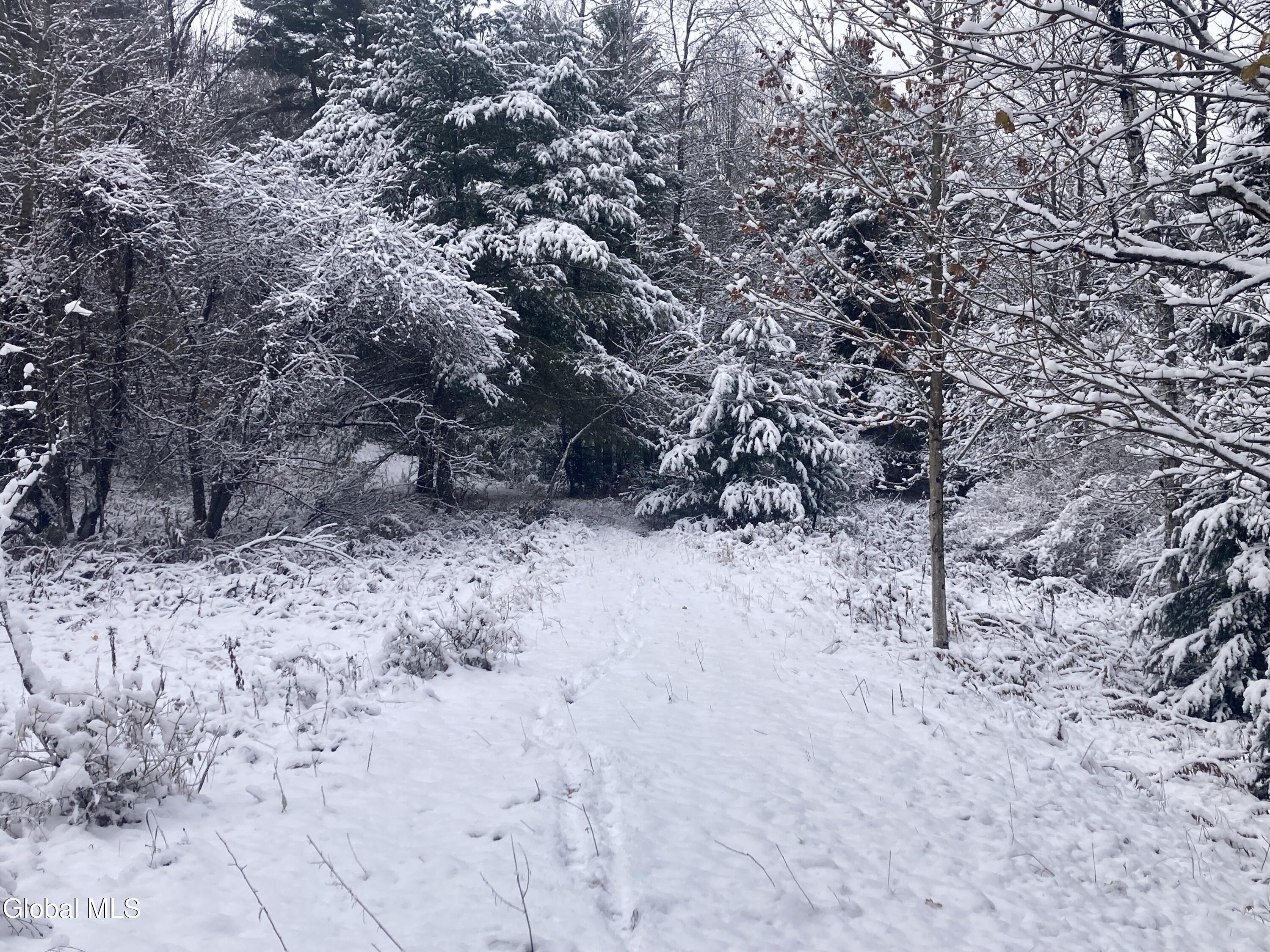 856 Olmstedville Road Chestertown NY 12853