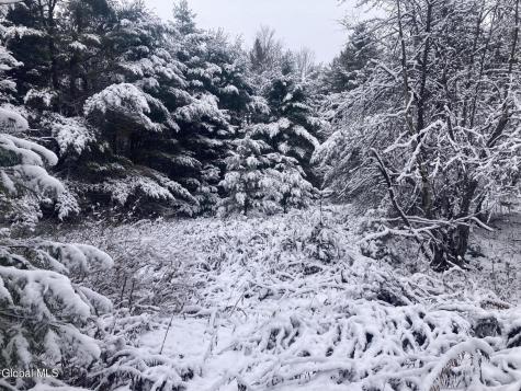 856 Olmstedville Road Chestertown NY 12853